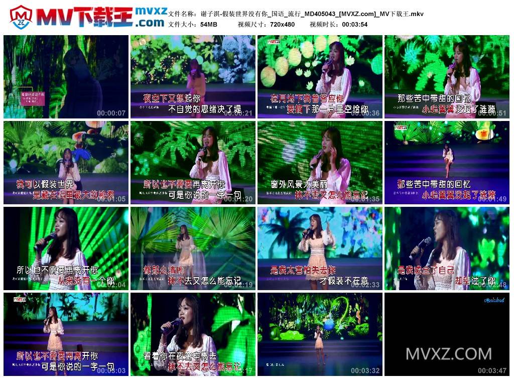谢子淇-假装世界没有你_国语_流行_MD405043